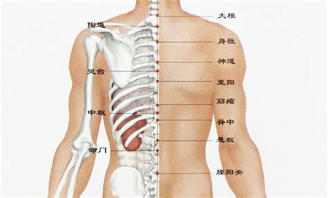 尾椎有痣|后背有痣代表什么图解 后背有痣代表什么